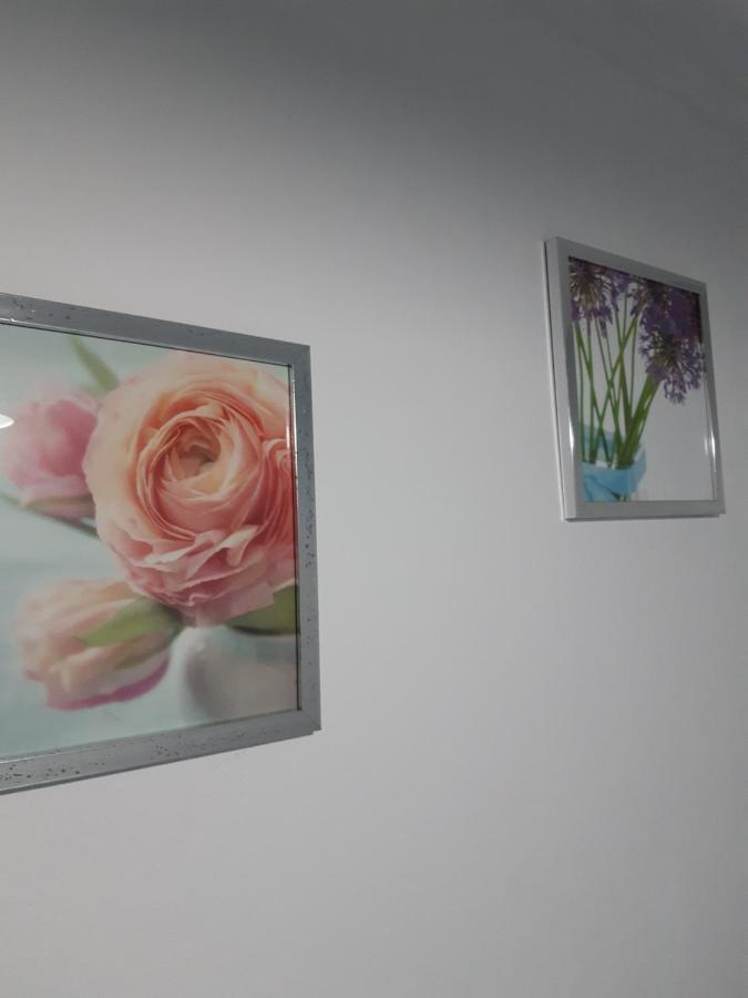 Apartamento Piquinho 마치코 외부 사진
