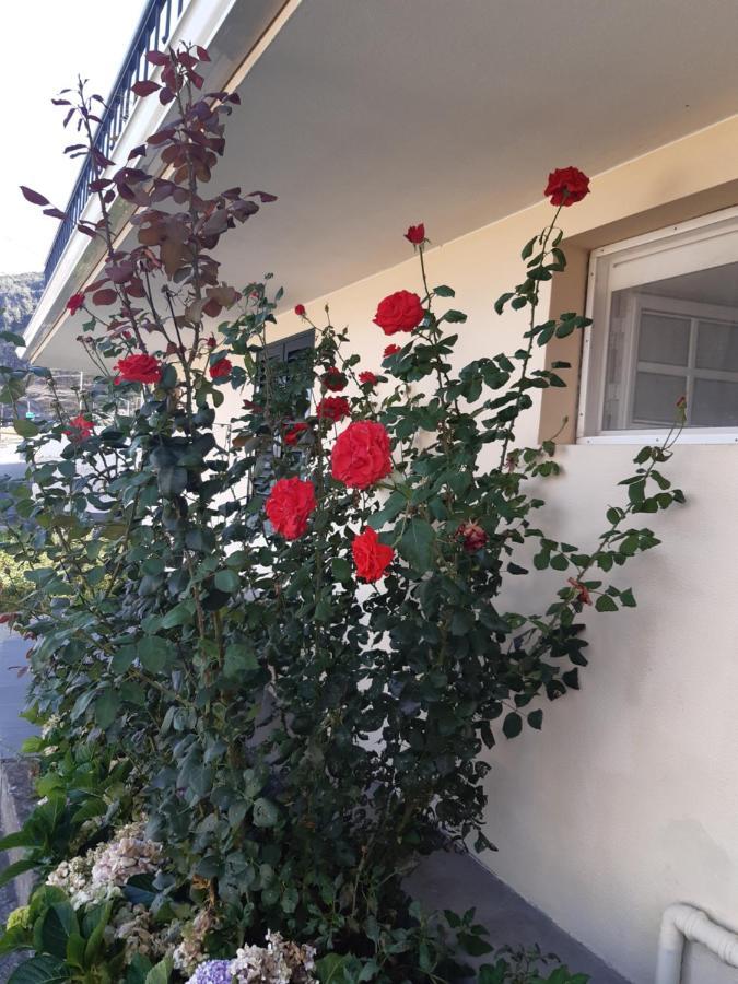 Apartamento Piquinho 마치코 외부 사진